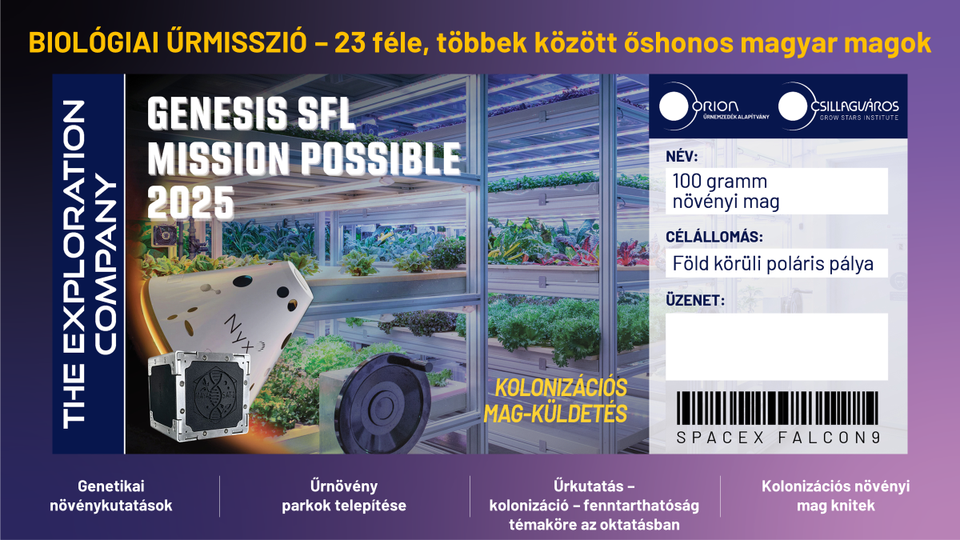 2024_FENYŐA_dia7.png